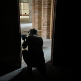 Home Invasion Force on Force